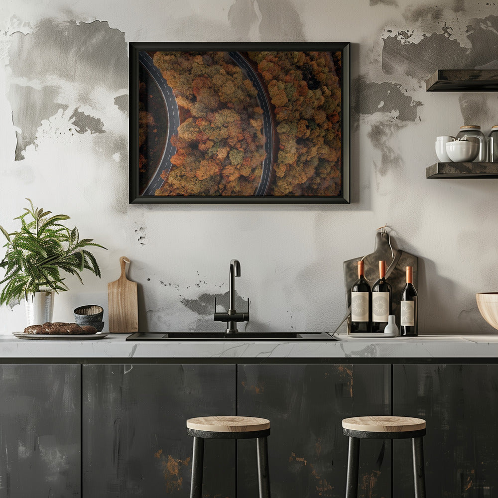 Plakat - Autumn Forest 06 - Admen.dk