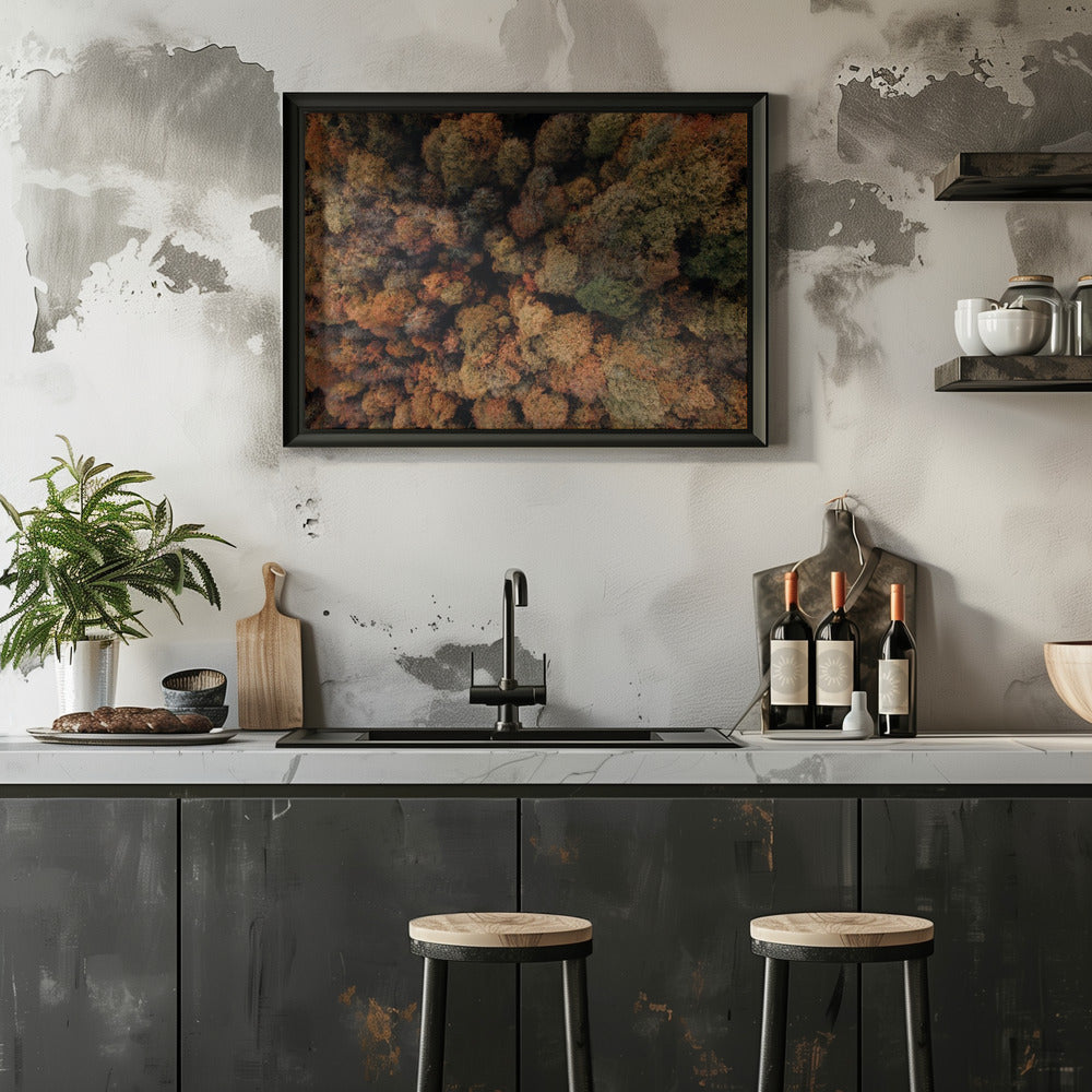 Plakat - Autumn Forest 07 - Admen.dk