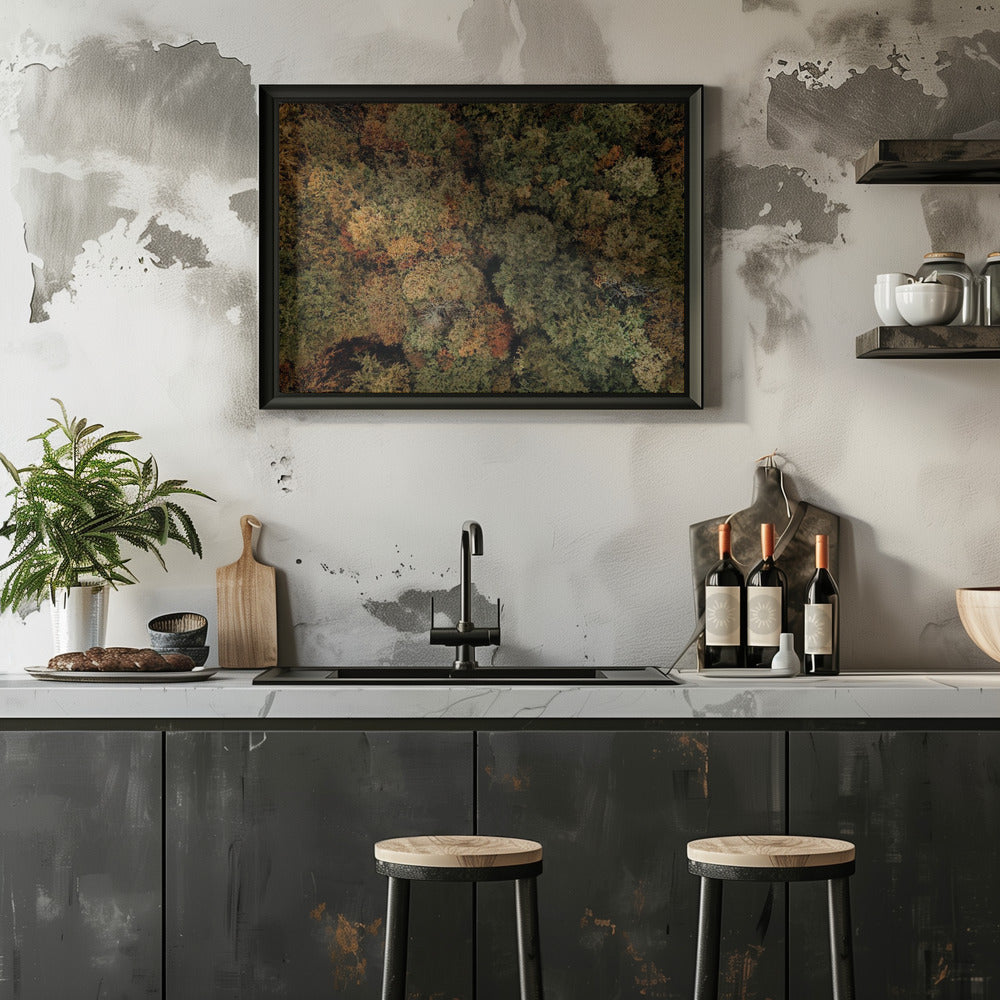 Plakat - Autumn Forest 10 - Admen.dk