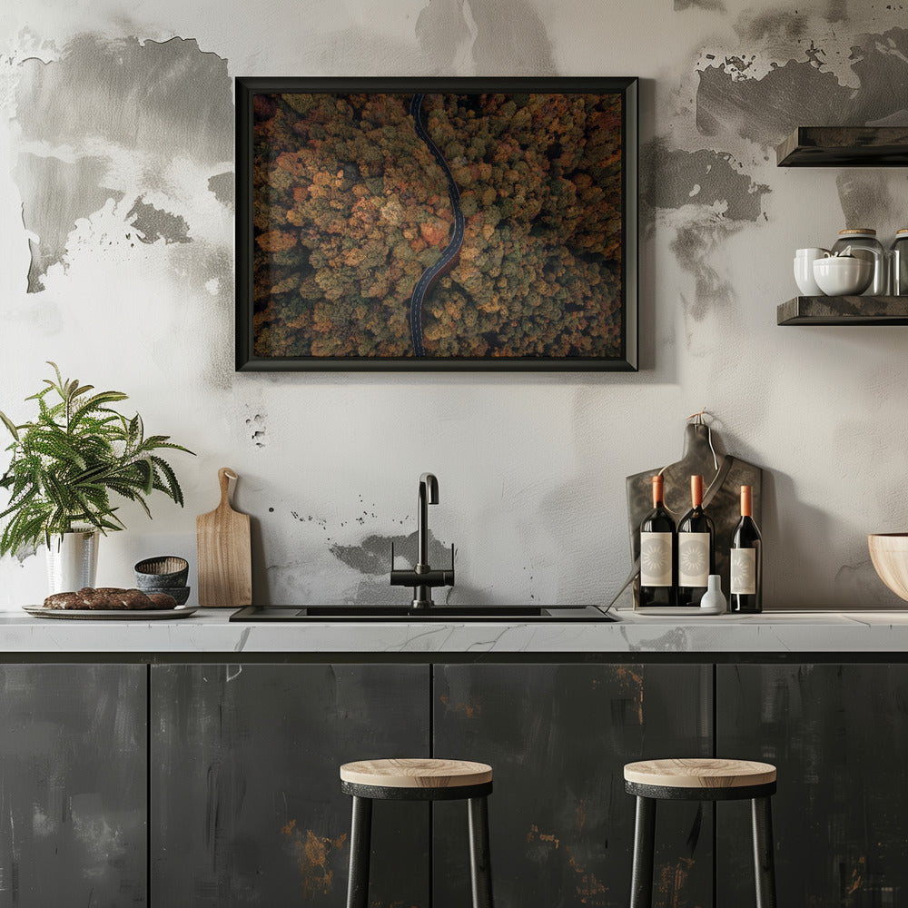 Plakat - Autumn Forest 12 - Admen.dk