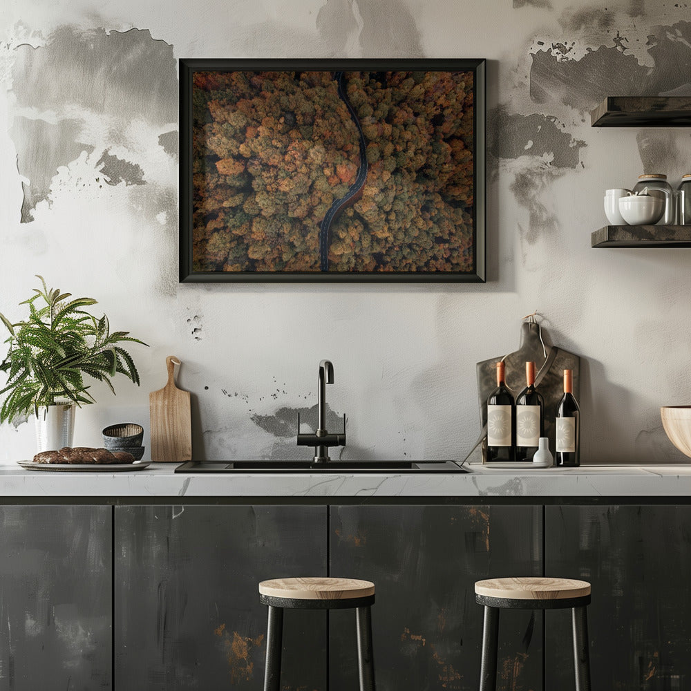 Plakat - Autumn Forest 13 - Admen.dk