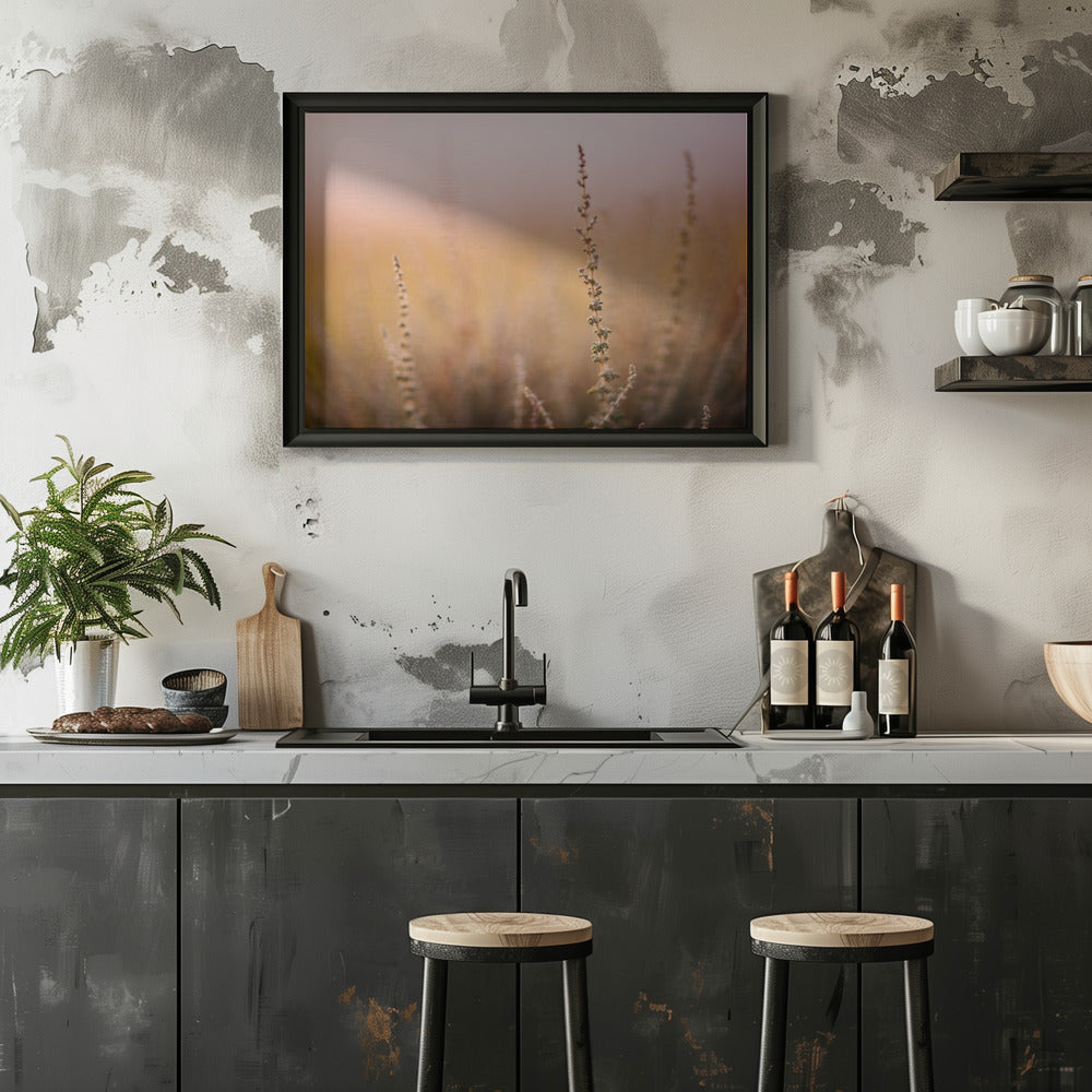 Plakat - Morning Grass Fileld 01 - Admen.dk