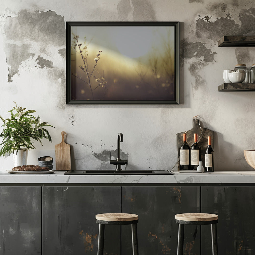 Plakat - Morning Grass Filelds 12 - Admen.dk