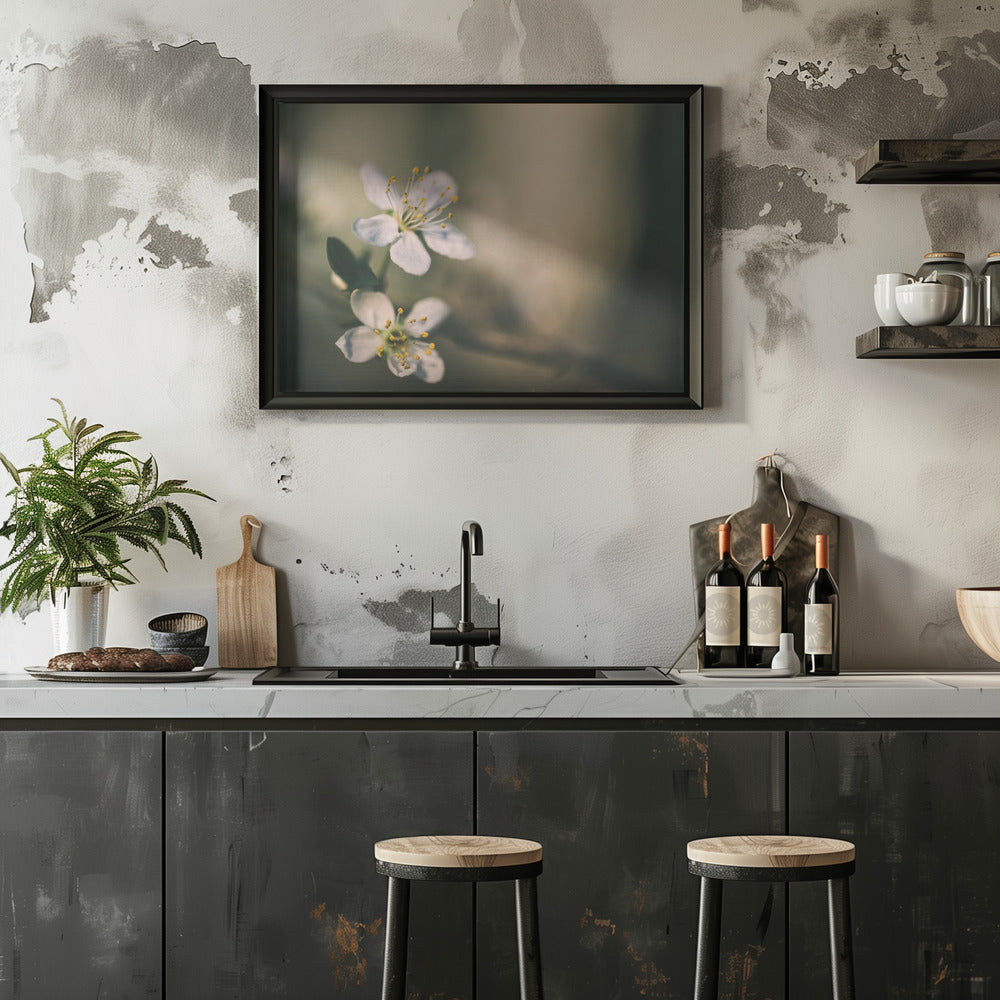 Plakat - White Flowers 6 - Admen.dk