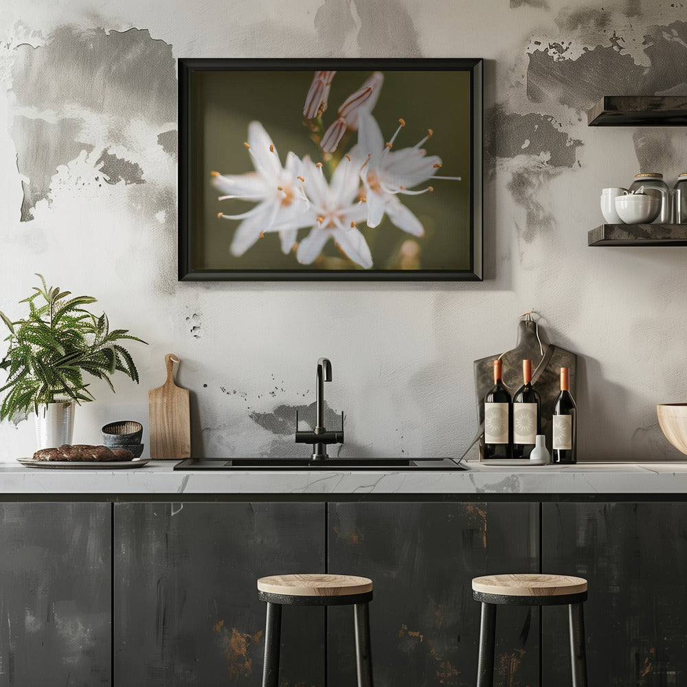 Plakat - White Flowers 10 - Admen.dk