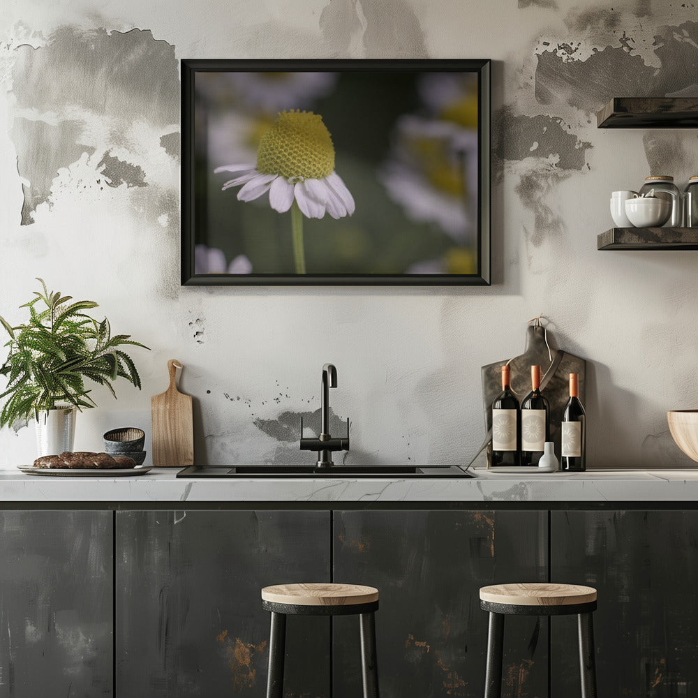 Plakat - Summer Flowers 7 - Admen.dk