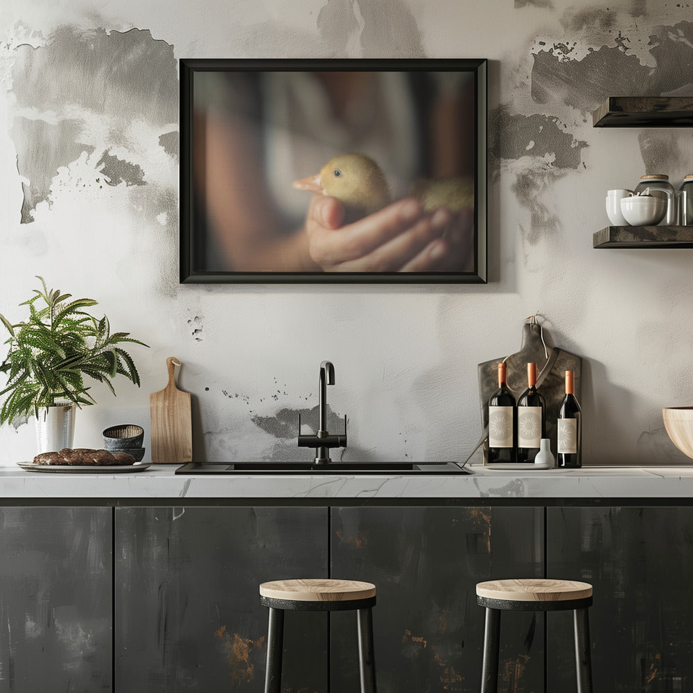 Plakat - Save the Duck - Admen.dk