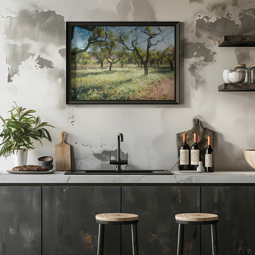 Plakat - Apple Trees 03 - Admen.dk