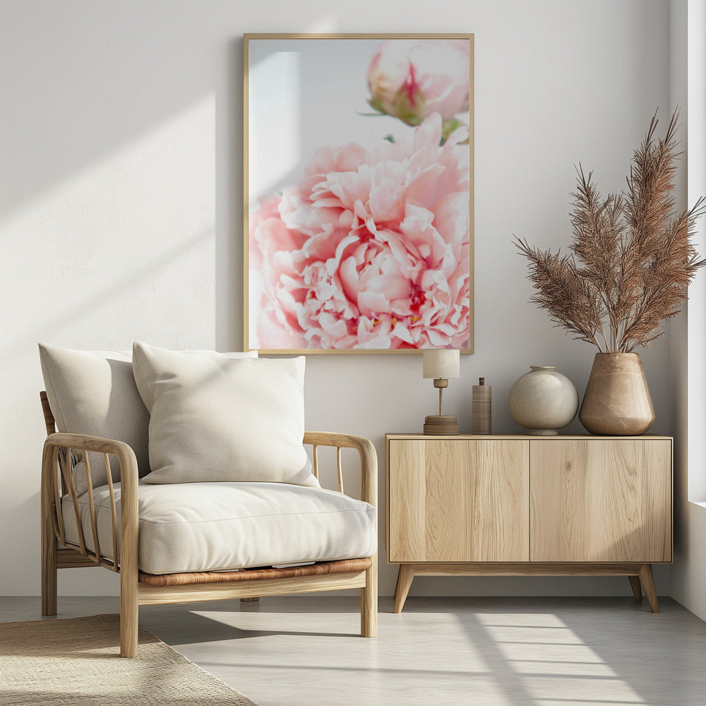Poster - Blush peony IX