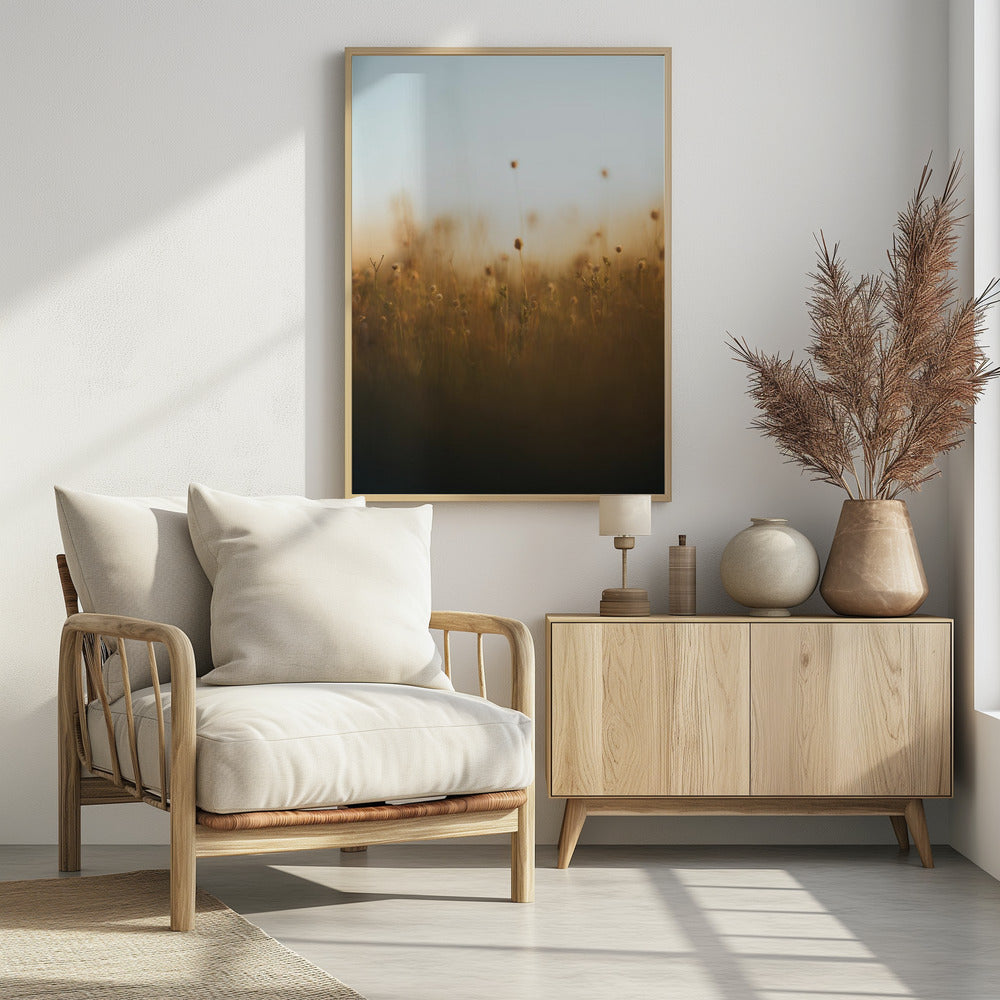 Plakat - Morning Grass Fileld 03 - Admen.dk