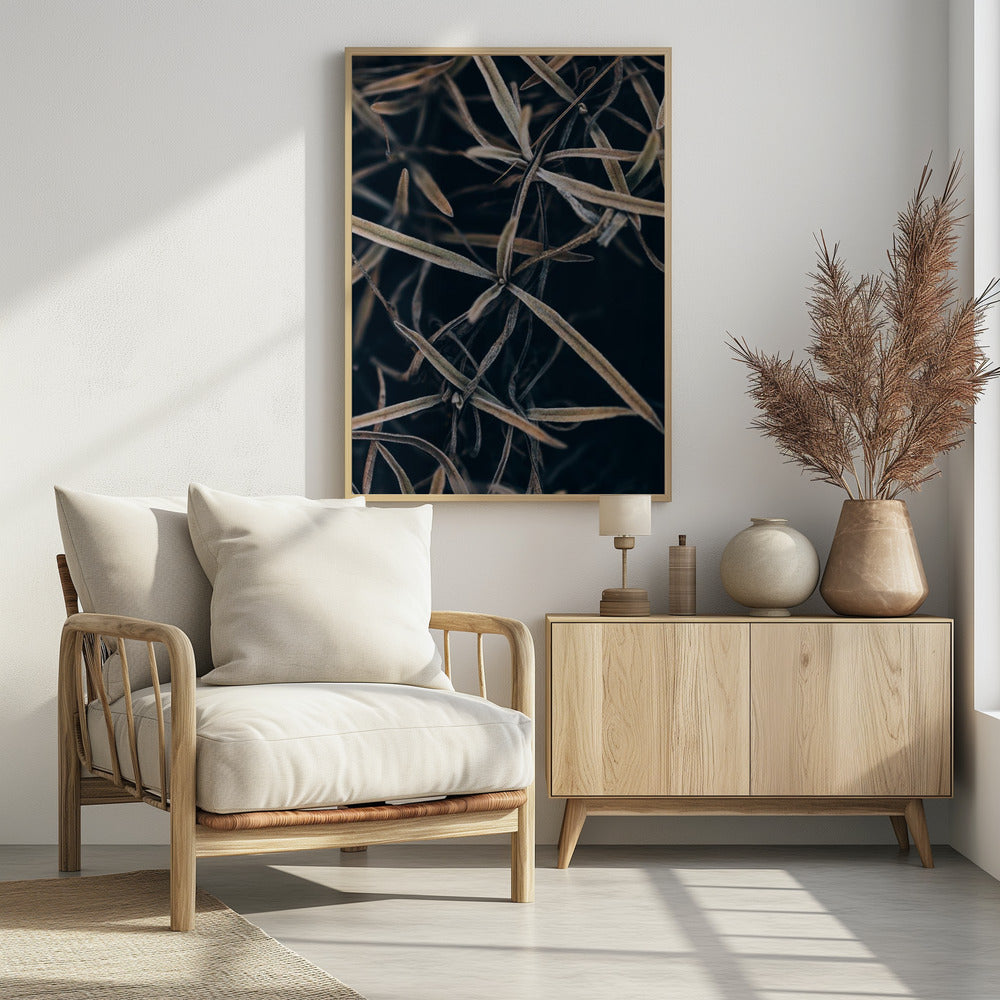 Plakat - Dried plants - Admen.dk