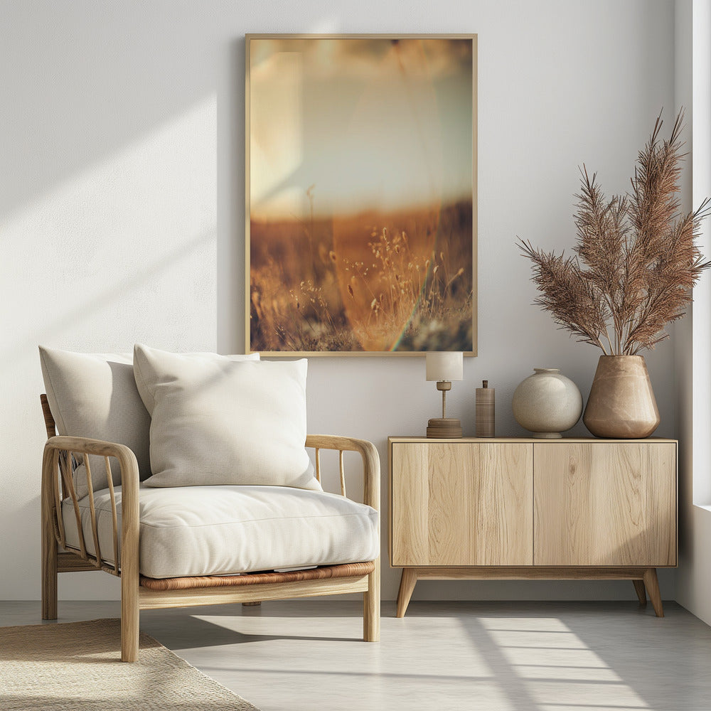 Plakat - Morning Grass Filelds 09 - Admen.dk