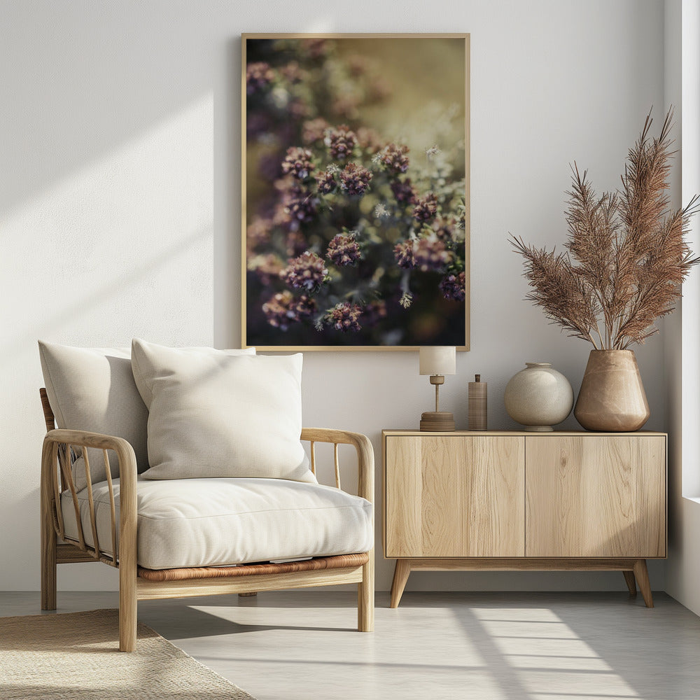 Plakat - Plants and Flowers 05 - Admen.dk