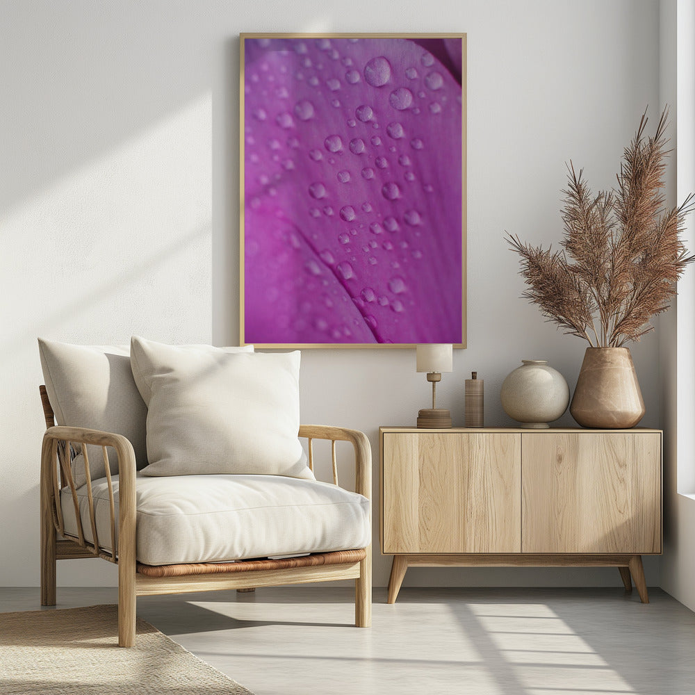 Plakat - Pink Flowers 34 - Admen.dk