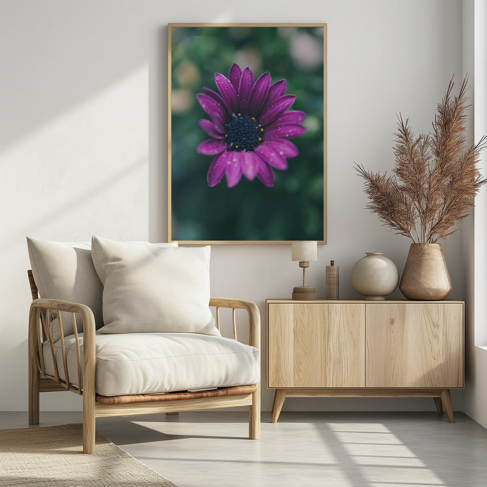 Poster - Purple Flowers 07