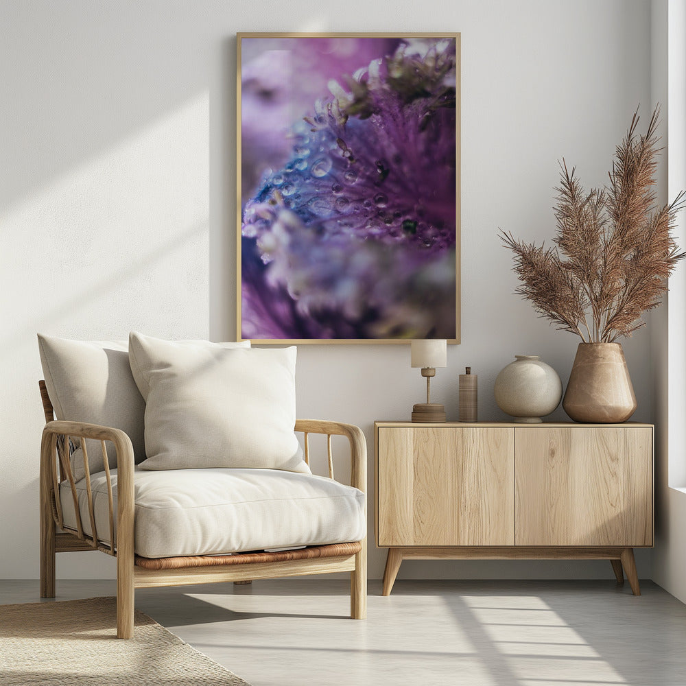 Plakat - Purple Flowers 08 - Admen.dk