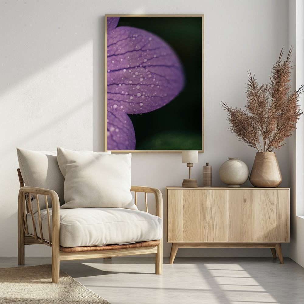 Plakat - Purple Flowers 19 - Admen.dk