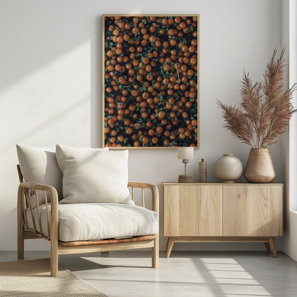 Plakat - Red Berries 02 - Admen.dk