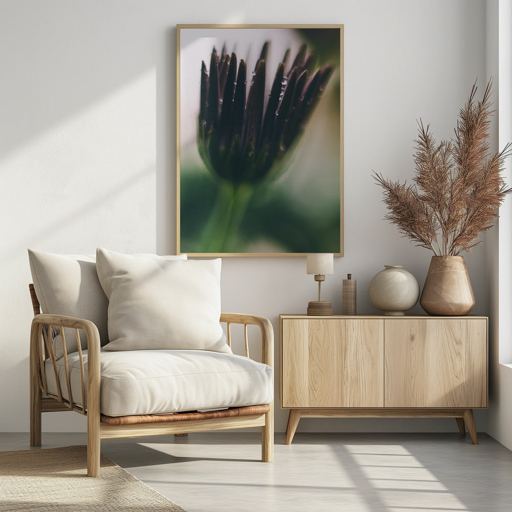Plakat - Purple Flowers 03 - Admen.dk