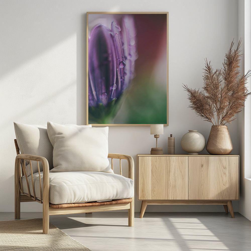 Plakat - Purple Flowers 04 - Admen.dk