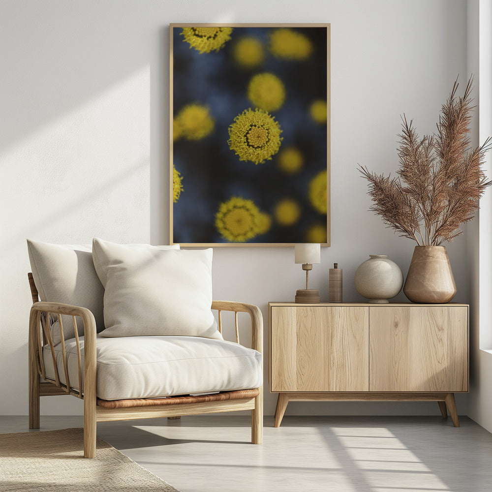 Plakat - Summer Flowers 24 - Admen.dk