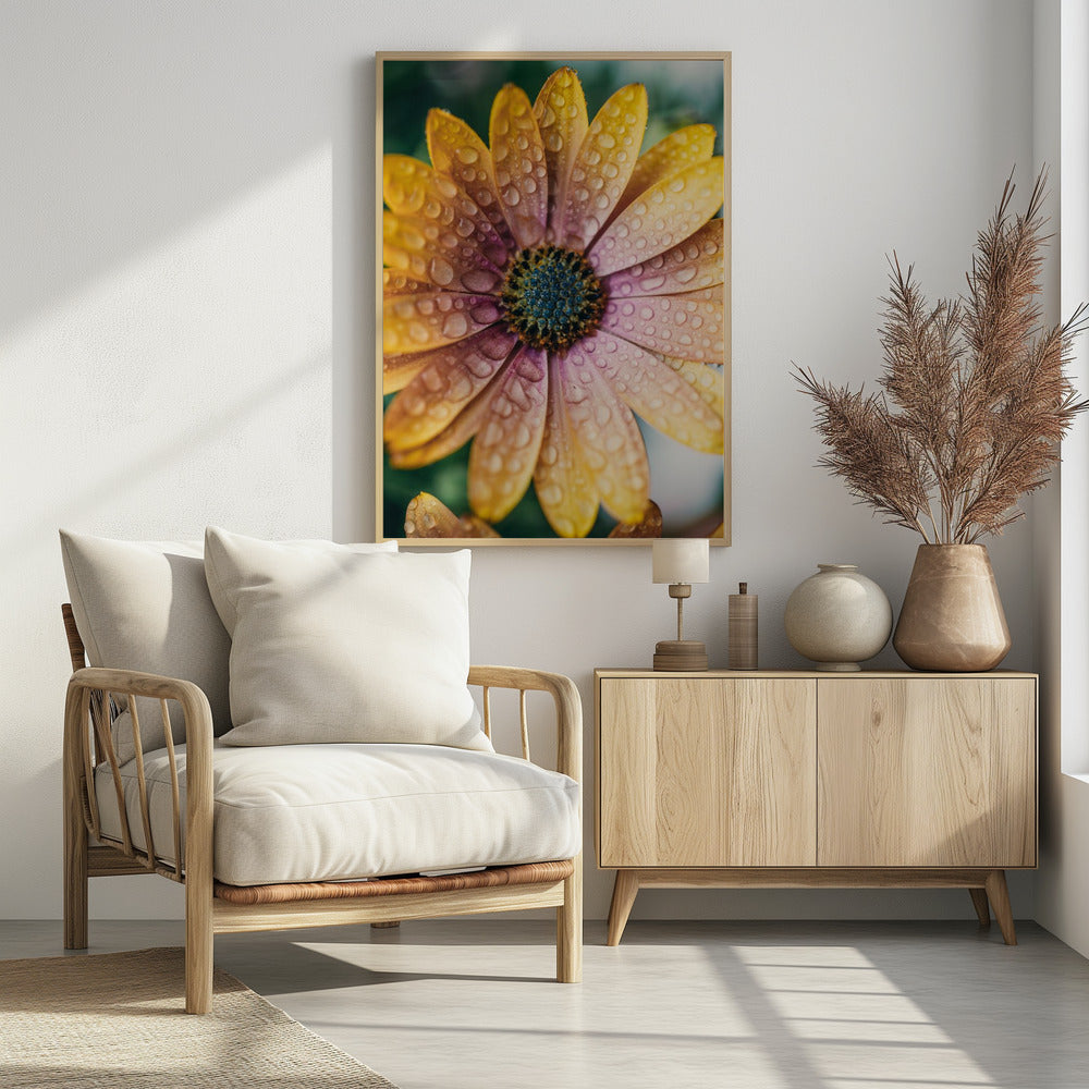 Plakat - Summer Flowers 34 - Admen.dk