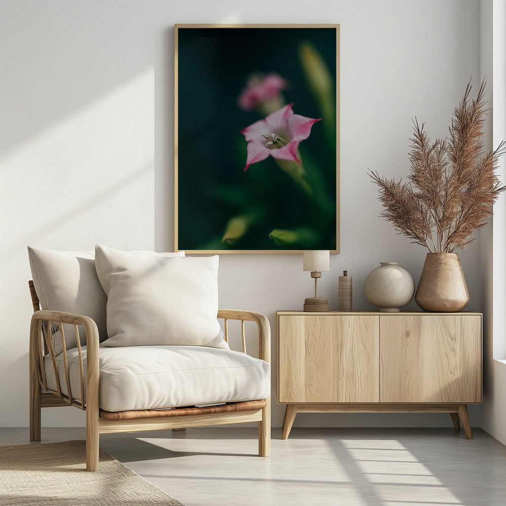 Plakat - Summer Flowers 105 - Admen.dk