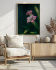Plakat - Summer Flowers 105 - Admen.dk