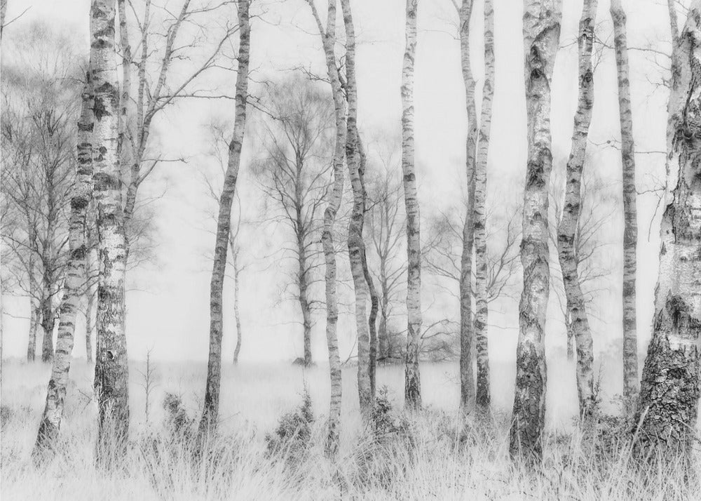 Plakat - Black and white