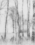 Plakat - Black and white