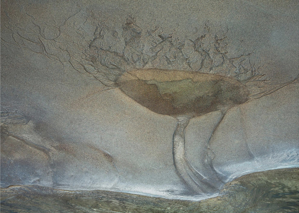 Plakat - Sand flower