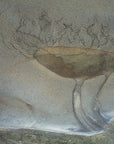 Plakat - Sand flower