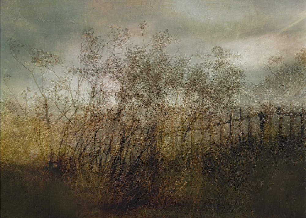 Plakat - Old dream