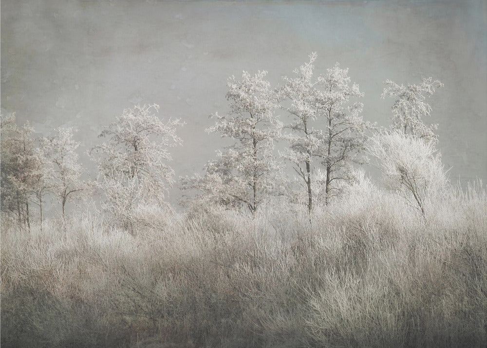Plakat - Cold morning