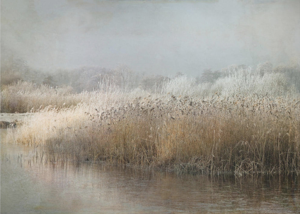 Plakat - Wintermorning