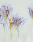 Plakat - Spring