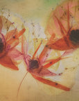 Plakat - Poppy seeds