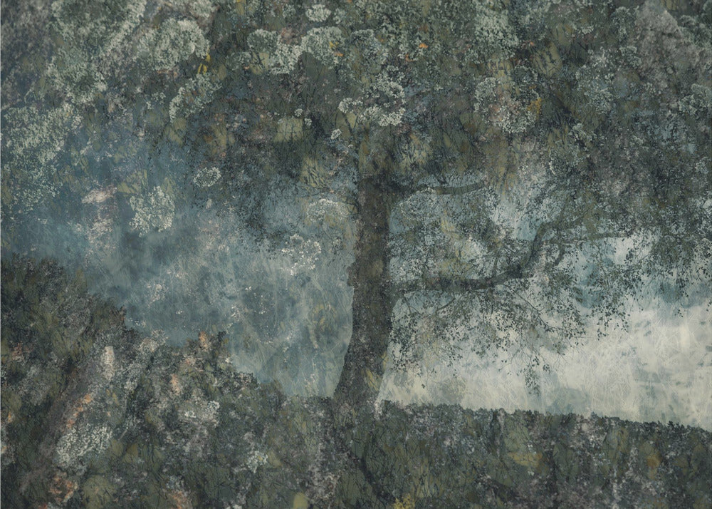 Plakat - Rocks and a tree