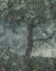 Plakat - Rocks and a tree