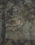 Plakat - Dark forest