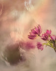 Plakat - Soft and light