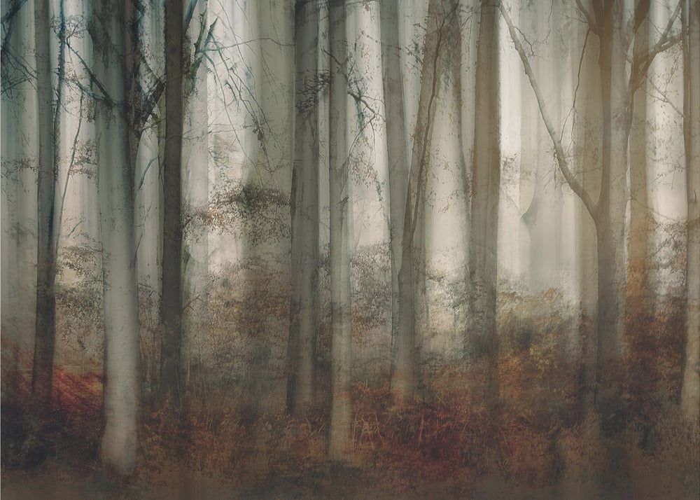 Plakat - Autumn light