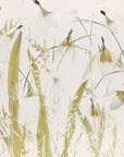 Plakat - Snowdrops