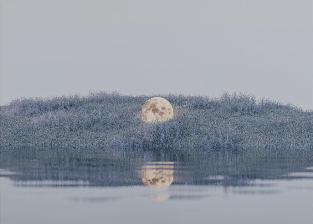 Plakat - Surreal Landscape - Admen.dk