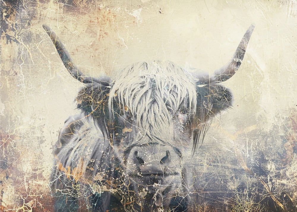 Poster - Cow Highland Illustration Art 04
