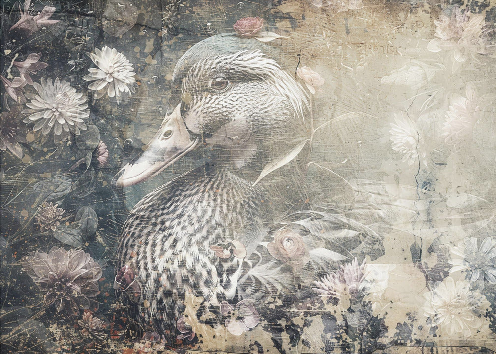 Poster - Duck Animal Vintage Art Illustration Wallart 05