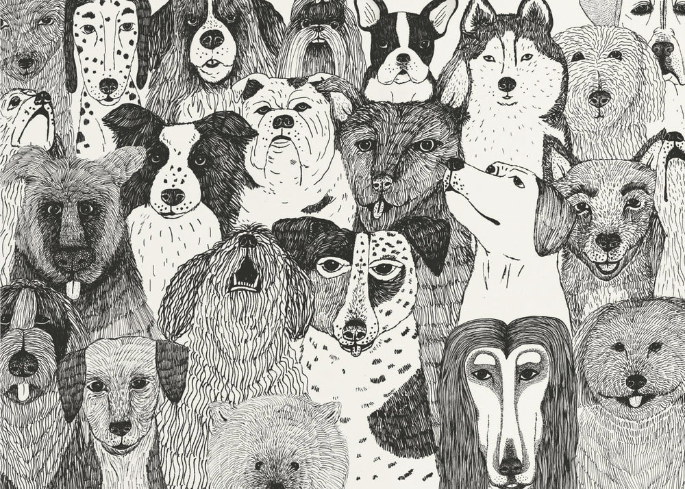 Poster - Dogs