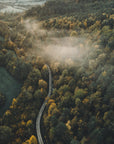 Plakat - Autumn Forest 05 - Admen.dk