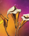Poster - Warm Abstracts 43