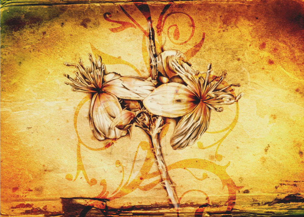 Poster - Sepia Illustration 12